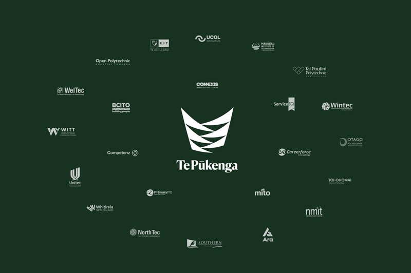 https://bcito.org.nz/media/images/TePukenga-Branding-StrongerTogether-LogosDiagr.width-800.jpg